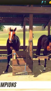 Rival Stars Horse Racing скриншот 5