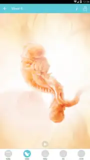 Pregnancy + скриншот 16