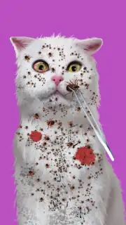 Cat ASMR: Salon Makeover скриншот 5