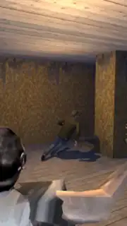 Play for Granny or Grandpa скриншот 3