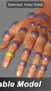 Hand Mannequin скриншот 7