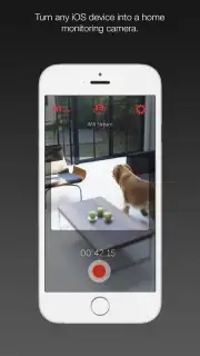Manything скриншот 5