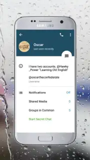 Via Messenger - Unofficial Telegram App скриншот 12