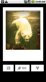 Polaroid PoGo App скриншот 2