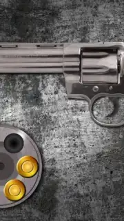 Best Russian Roulette скриншот 2