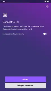 Tor Browser скриншот 1