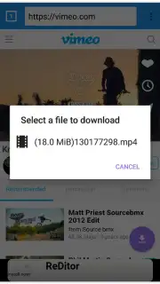 VIP Video downloader скриншот 4