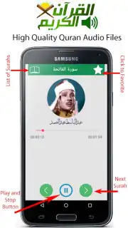 Audio Quran скриншот 2