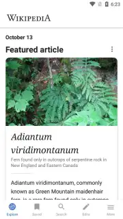 Wikipedia скриншот 5
