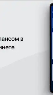 Налоги ФЛ скриншот 2