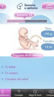 Mi Embarazo скриншот 4