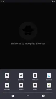 Private Browser скриншот 1