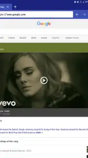 Skynet Browser скриншот 10