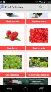 Food Dictionary скриншот 4