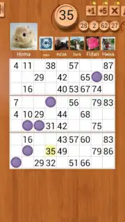 Loto Online скриншот 1