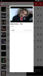 iTube Pro скриншот 2