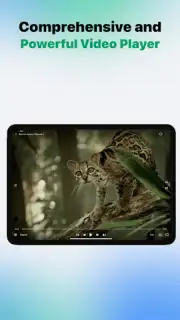VidHub скриншот 15