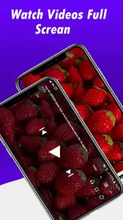 Fast Youtube Downloader скриншот 2