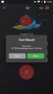 VPN Tomato скриншот 2
