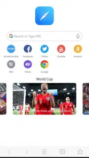 Mini Private Browser: Fast Search, Download, No Ad скриншот 7
