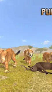 Puma Survival скриншот 6
