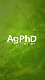 Ag PhD Deficiencies скриншот 3