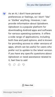 DeepSeek скриншот 4
