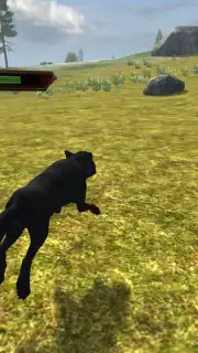 Wild Life: Wolf Clan скриншот 8