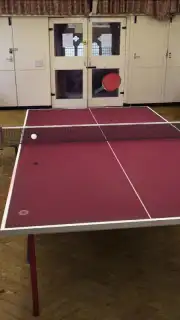 Table Tennis Touch скриншот 3