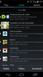 GetThemAll Any File Downloader скриншот 2