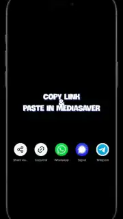 Media Saver скриншот 1