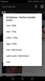 YouTube-DL скриншот 1