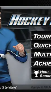 Hockey Fight Lite скриншот 6