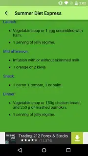 Summer Diet Express скриншот 2