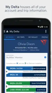 Fly Delta скриншот 6