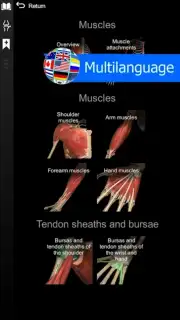 3D Anatomy Learning скриншот 1