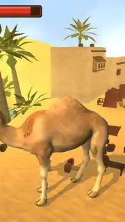 Camel Simulator скриншот 5