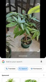 Google Lens скриншот 2