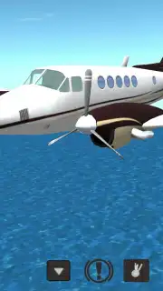 Flight Simulator скриншот 2