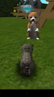 Cat Simulator скриншот 1