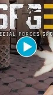 Special Forces Group 3 скриншот 1