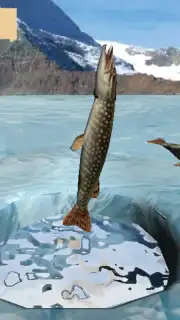 Winter Fishing 3D скриншот 5