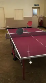 Table Tennis Touch скриншот 6