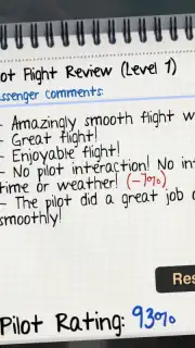 Airplane Pilot Simulator 3D скриншот 1
