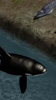 Orca Simulator скриншот 2