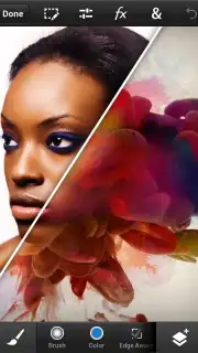 Adobe Photoshop Touch скриншот 1