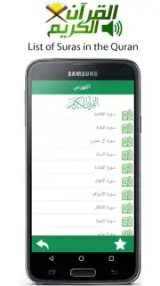 Audio Quran скриншот 3