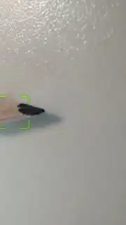Camera HD скриншот 4