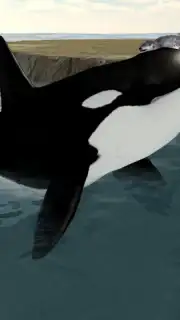 Orca Simulator скриншот 6