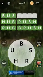 Zen Word скриншот 5